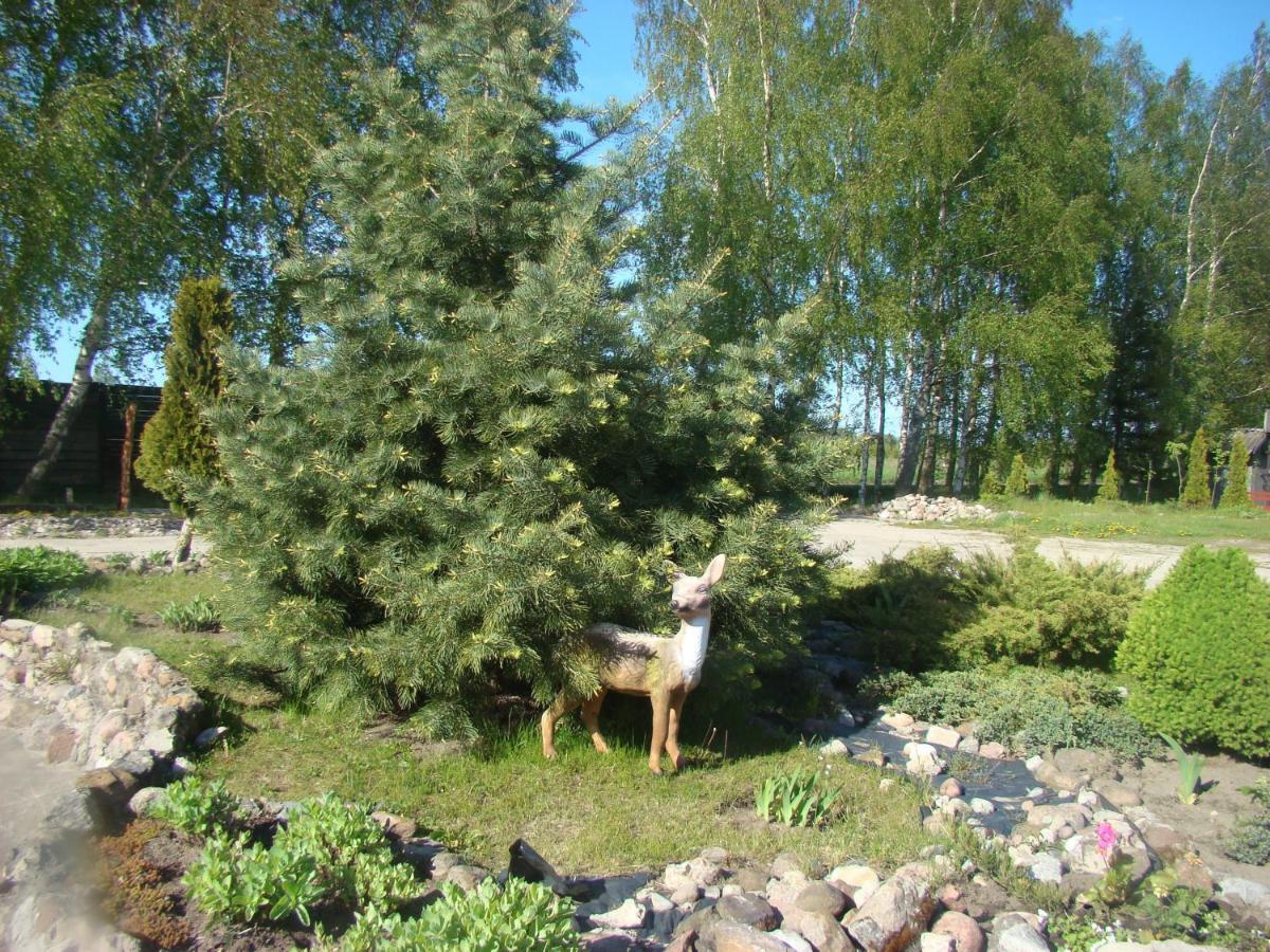 Atputas Vieta Buki Hotell Ventspils Exteriör bild